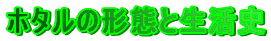 z^̌`ԂƐj