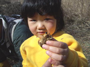 昆虫見っけ